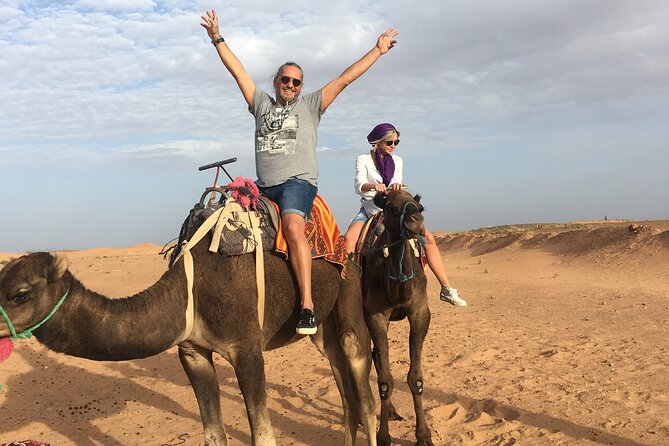 Private 3 Day Luxury Desert Tour from Fez to Marrakech - Day 1: Ifrane Fresh Air, Cedar Forest Monkeys, Midelt Lunch, Ziz Valley Views, Merzouga Dunes