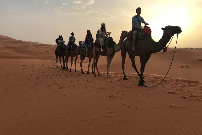 Private 4 Days Desert Tour from Fes to Marrakech - Should you book Fez Luxury Tours for this route?