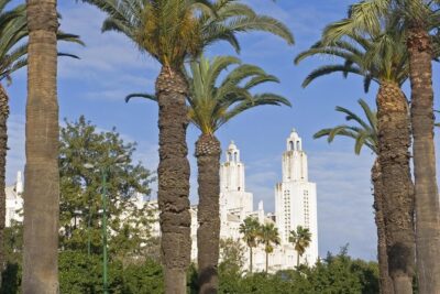 Private Arrival Transfer: Casablanca Airport to Hotel