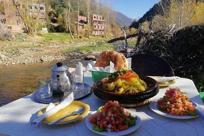 Private Atlas mountains and berber village full day trip - Camel ride and argan and mint tea, but only if you choose