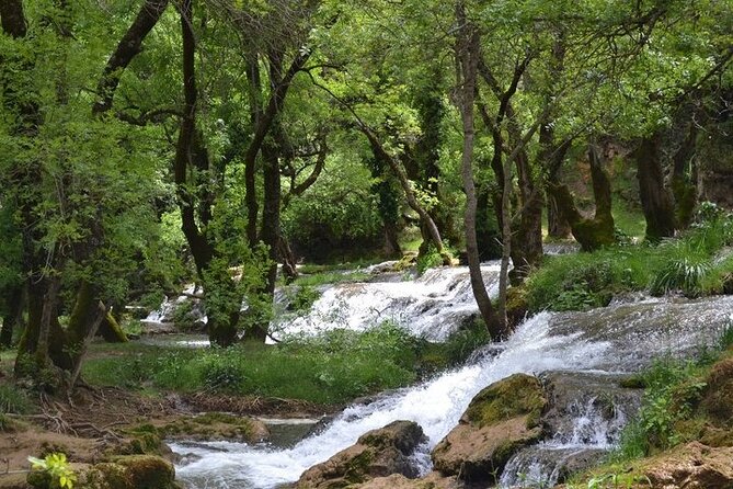 Private Day Tour from Fez to the Middle Atlas - The Middle Atlas, minus the self-drive stress