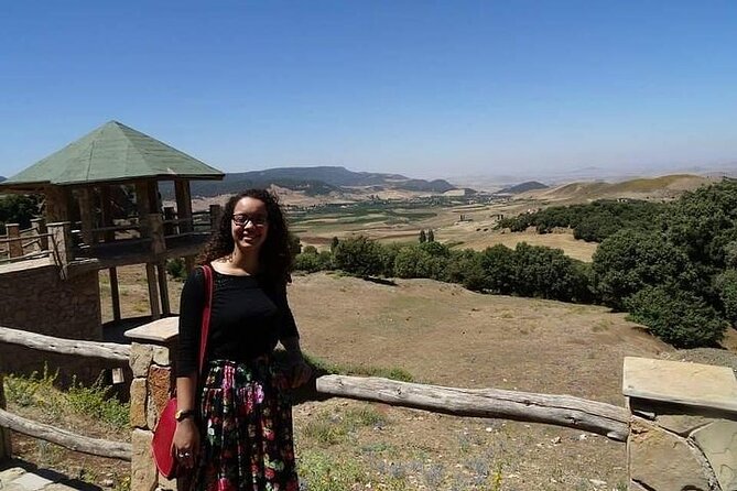 Private Day Tour from Fez to the Middle Atlas - Stop 4: Azrou Cedar Forest and Barbary apes in the trees