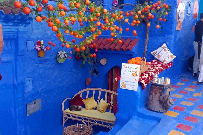 Private Day Tour to Chefchaouen from Fes - Price and value: is $120 per person a smart deal?