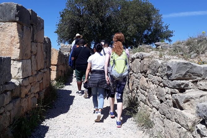 Private Day Tour to Meknes, Volubilis and Moulay Idriss from Fez - Who this tour is best for