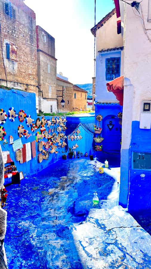Private Day Trip from Casablanca to Chefchaouen & Medina. - A Private Chefchaouen Day Trip That Makes Sense (Even When You Only Have One Day)