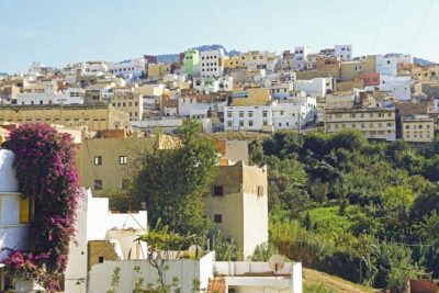 Private Day Trip From Fez To Volubilis and Meknes