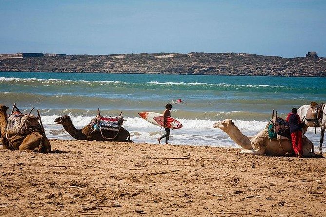 Private Day Trip From Marrakech To Essaouira - The Drive and Arrival Timing: Planning Your Day Without Stress