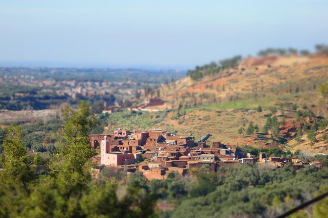 Private Day Trip From Marrakech To Ourika valley - Local stops that turn a sightseeing day into a real sense of place