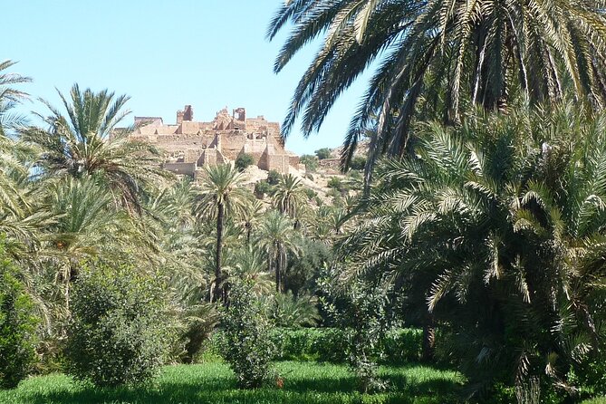 Private Day Trip of Taroudant & Tiout from Agadir - Souks and ramparts: where the real Taroudant magic happens