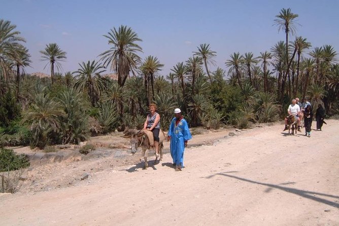 Private Day Trip of Taroudant & Tiout from Agadir - Practical tips for this 8 to 10 hour Taroudant and Tiout day