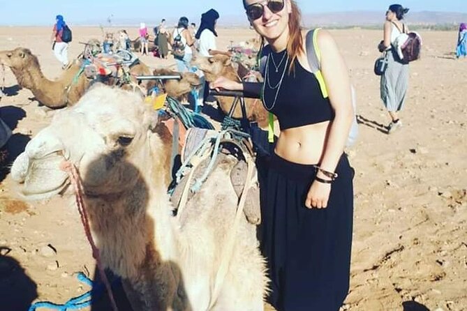 Private day trip to Marrakech from Casablanca - Getting there and back by van: 2.5 hours can turn into more
