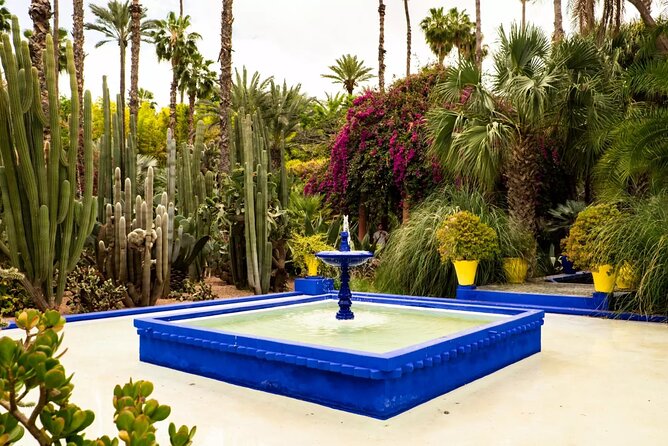 Private day trip to Marrakech from Casablanca - Menara Gardens and Pavilion: olive trees, a pool, and a slower pace