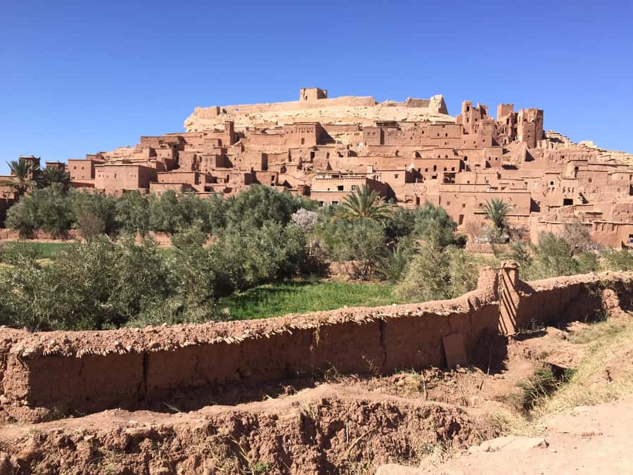 Private Day Trip To Ouarzazate & Ait Ben Haddou Kasbah - Private transport and expert guiding: where the $235 really goes