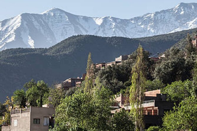 Private Day trip to ourika valley atlas mountains from marrakech - Private group logistics, and why small matters here