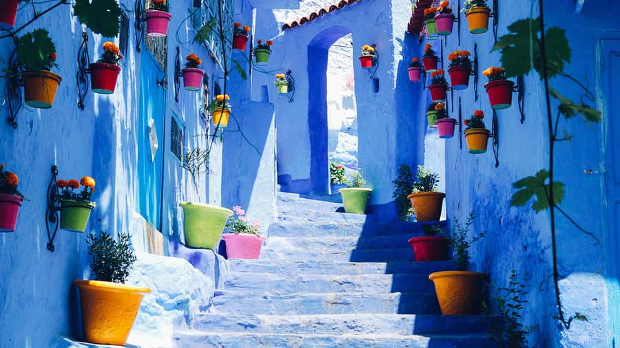 Private - Day Trip to the Blue City of Chefchaouen - Price and value: what you’re really paying $153 for