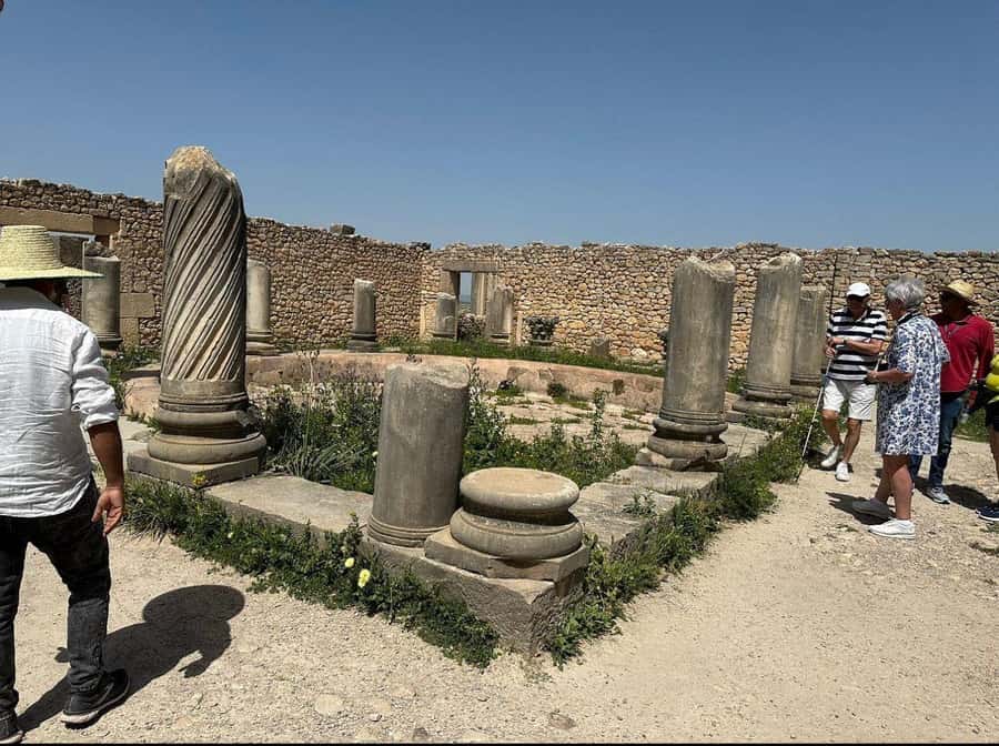 Private Day Trip to Volubilis, Moulay Idriss and Meknes - Volubilis UNESCO ruins: mosaics, stonework, and a smart hour on site