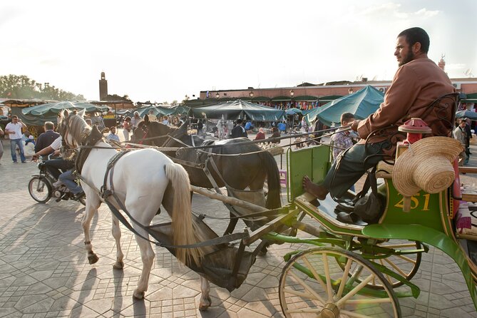 Private Driver for a full day in Marrakech - An 8-hour day plan you can actually follow