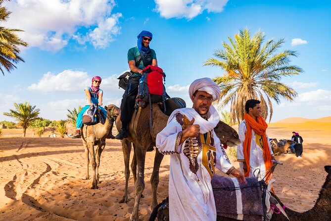 Private Driver for a full day in Marrakech - What the $259.69 per person price really covers