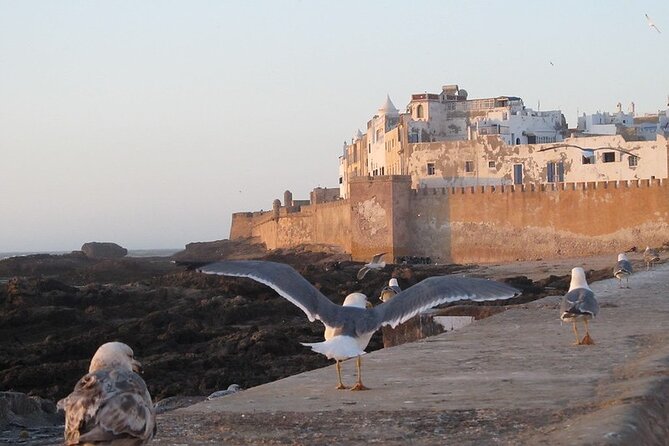 Private Essaouira Day Trip From Agadir - Key highlights you will actually feel