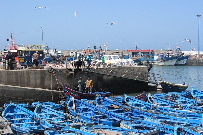 Private Essaouira Day Trip From Agadir - Door-to-door transport: what private-only really means