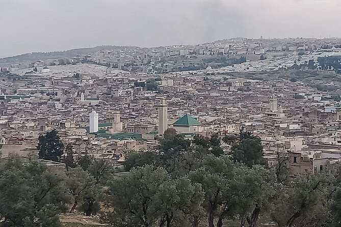 Private Guided Tour in Fez Medina - Bou Inania Medersa: wood, stucco, and why education mattered