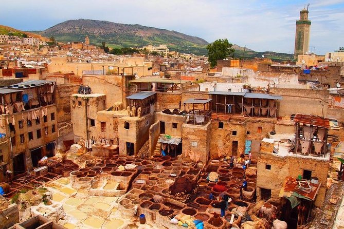 Private Guided Tour of the Medina of Fez and its Surroundings - Bou Inania Medersa: Marinid architecture with clear context