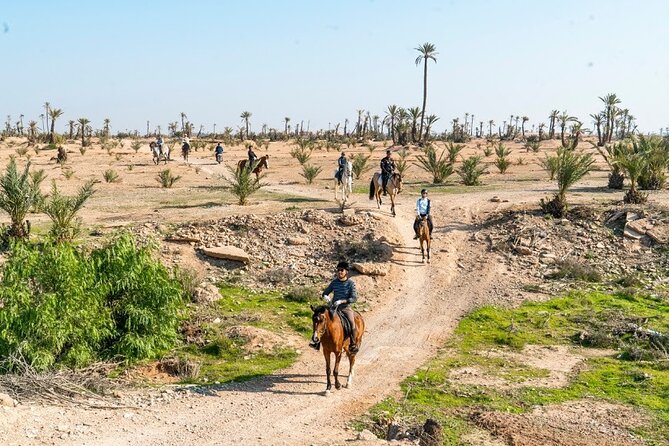 Private horseback ride in the Palmeraie of Marrakech - Key things to know before you go