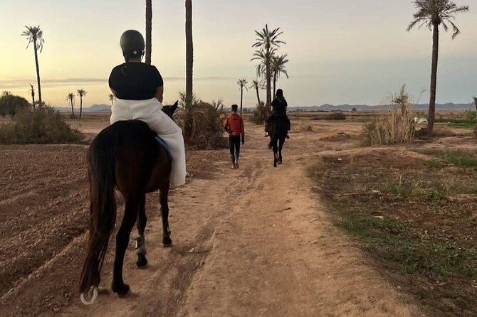 Private horseback ride in the Palmeraie of Marrakech - The Berber House Tea Break After You Ride