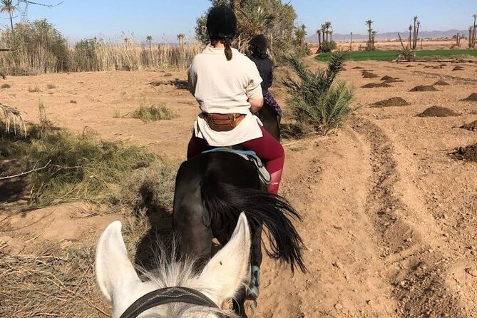 Private horseback ride in the Palmeraie of Marrakech - Price and Value: What You Get for $45.36