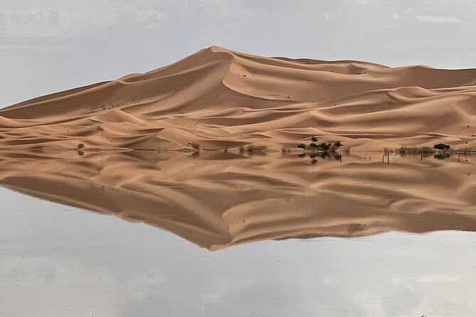 Private Luxury 4 Day Desert Tour from Marrakech to Sahara Desert - Draa Valley and the long road home toward Ouarzazate