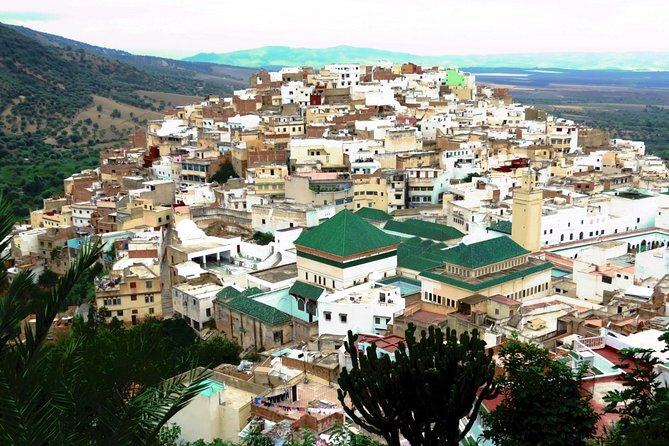 Private Meknes Volubilis -Mouly Idriss day trip from Fez - Drivers make the day: punctuality, flexibility, and real explanations