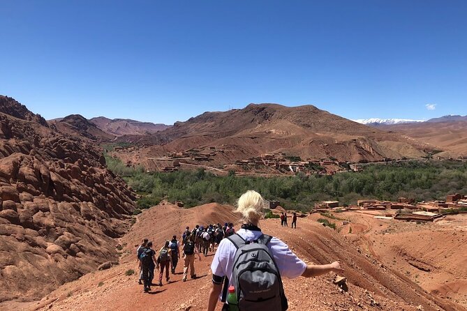 Private Monkey Fingers Canyon Hike - Guide power: why Mehdi, Omar, Ibrahim, and Houssine make the hike click