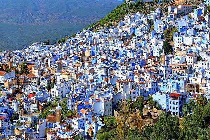 Private Multi-Day Desert Tour from Marrakech to Chefchaouen - Comfort and transport: what “private” really buys you here