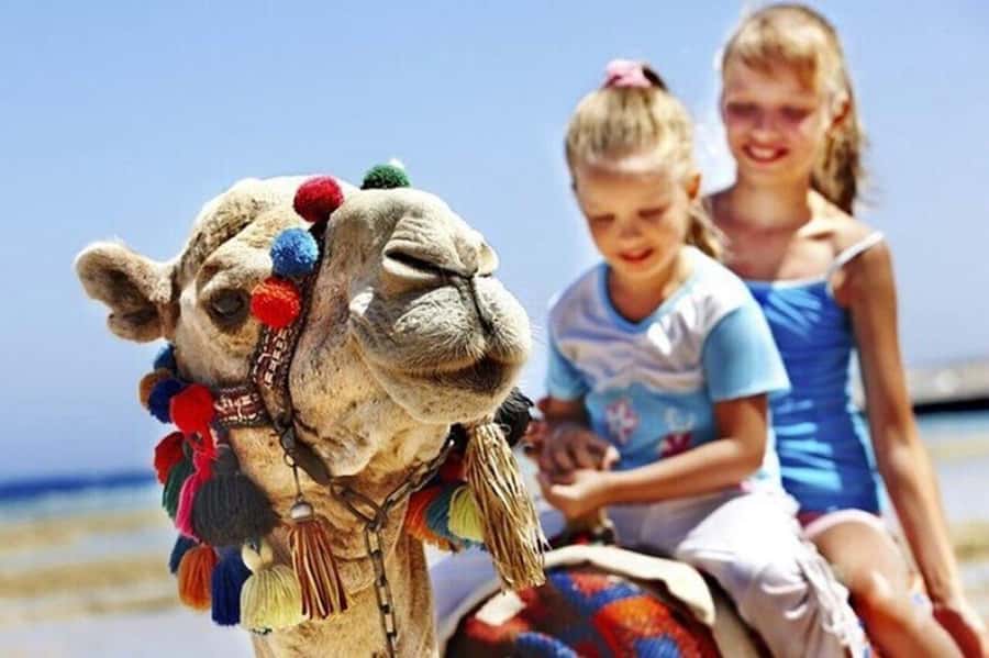 Private Tangier Tour with Lunch and Camel Ride - Key Highlights You Will Actually Care About