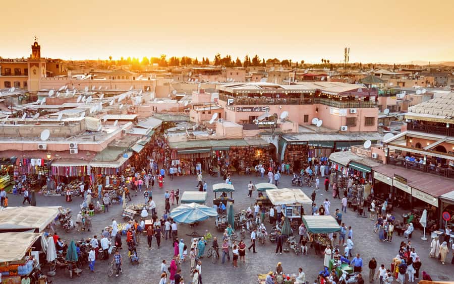 Private Tour: Half-Day Sightseeing Tour of Marrakech - A 4-hour game plan for seeing Marrakech’s essentials