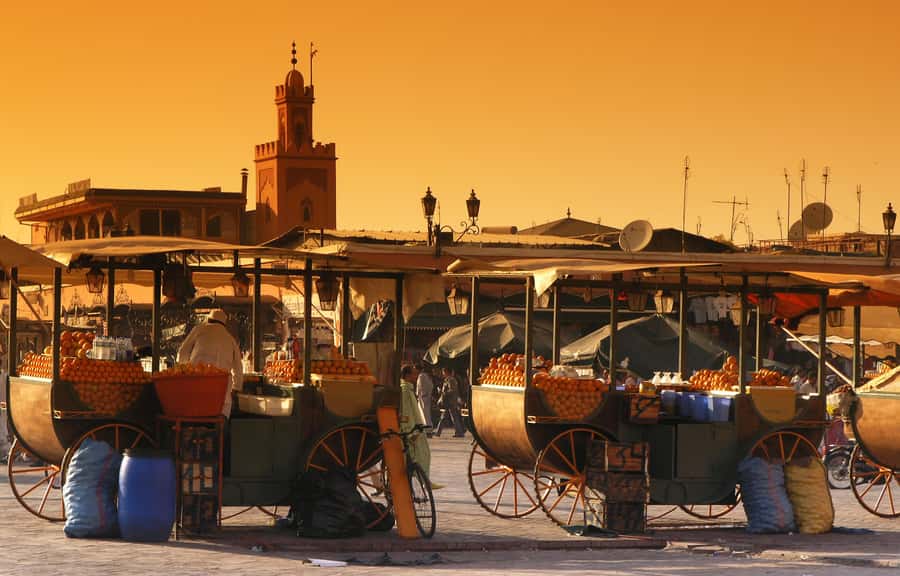 Private Tour: Half-Day Sightseeing Tour of Marrakech - Koutoubia Mosque, the city’s big landmark