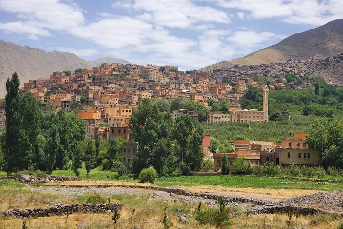 Private Tour in Atlas Mountain and 3 Valleys with Camel Ride - Ourika Valley And The Argan Cooperative Break