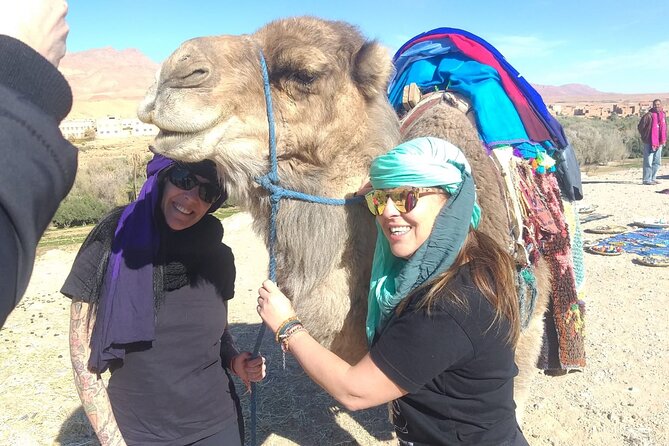 Private Transport from Chefchaouen to Tangier - Value and price: $151.21 per group, up to 2 people