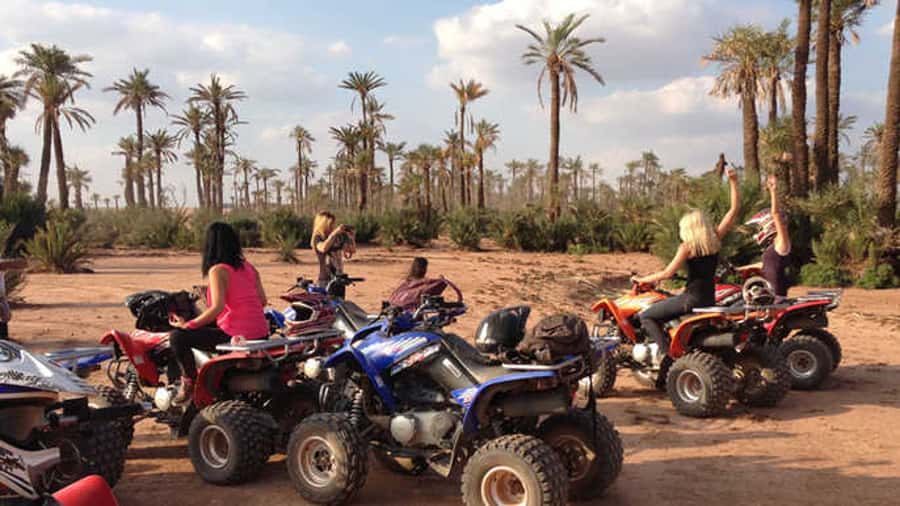 Quad Bike Activity in Marrakech Palmeraie - Languages and instructor support: make instructions easy to follow