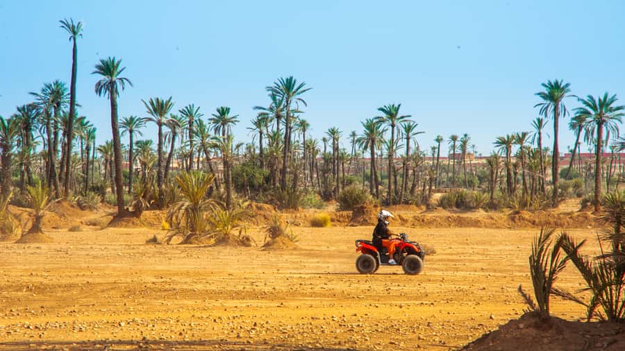 Quad Bike Activity in Marrakech Palmeraie - Should you book this Marrakech Palmeraie quad bike tour?