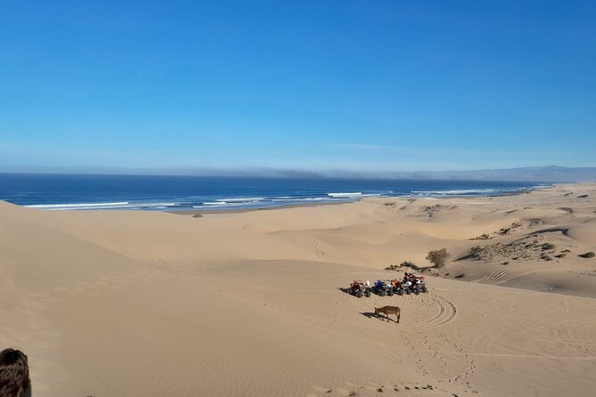 Quad Bike and Sandboarding on Sand Dunes Wild Beach - A realistic 3.5-hour flow, from pickup to tea to sandboarding