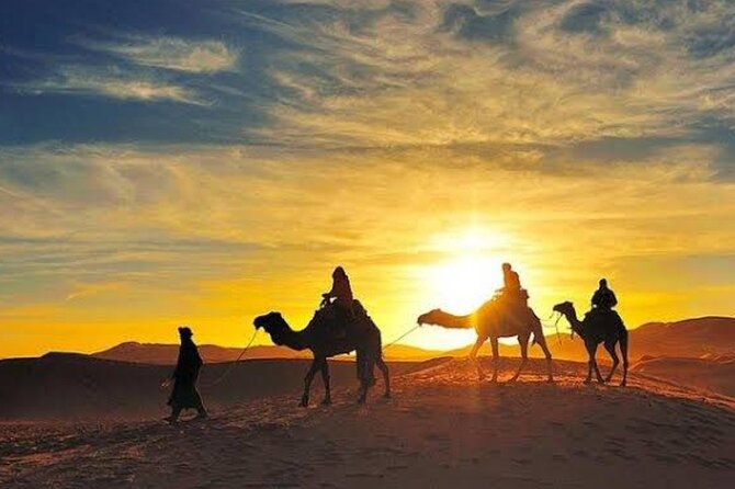 Quad Bike & Camel Ride & Dinner Show In Agafay Desert - Fire Show and Berber Music: The Best Part to Savor Slowly
