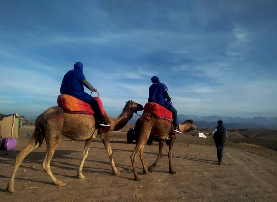 Quad bike & Camel ride in Agafay with dinner at Chouf L’or - Camel ride at sunset: calm travel on rocky terrain