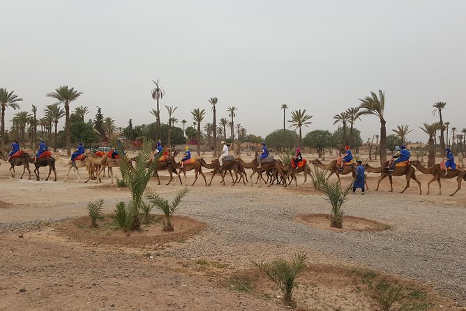 QUAD BIKE Marrakech - Photo breaks and Atlas views in the palm grove