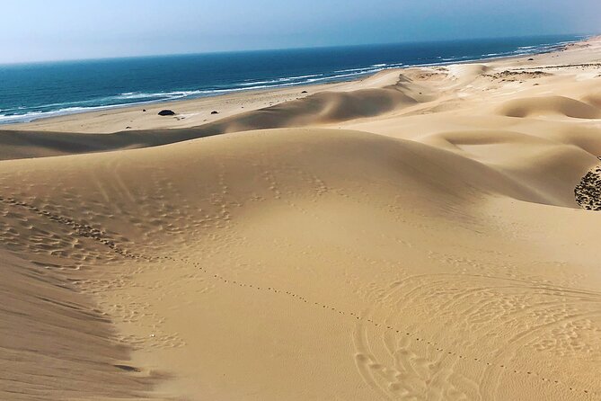 Quad Biking and Sandboarding on Sand Dunes Wild Beach - Sea-and-Desert Fun Starts at Your Agadir Pickup