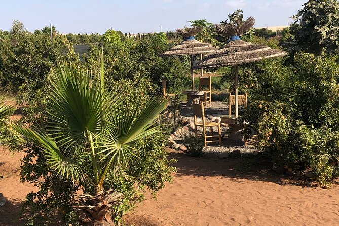 Quad Biking and Sandboarding on Sand Dunes Wild Beach - Riding Through Coastal Trails and Berber Village Areas