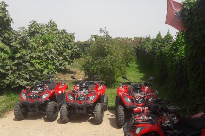 Quad Biking and Sandboarding on Sand Dunes Wild Beach - Sandboarding After the Quads: Switching from Wheels to Control