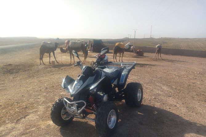Quad Biking & camel ride Agafay desert with Lunch or dinner - Key highlights to know before you go