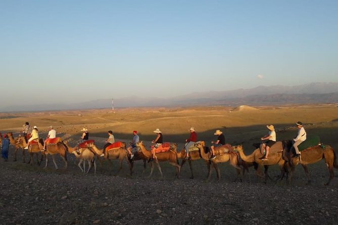Quad Biking & camel ride Agafay desert with Lunch or dinner - Price and value: why $33.68 is a strong deal