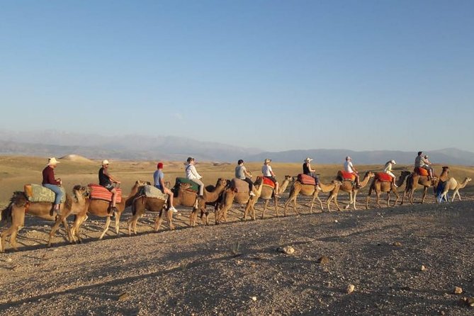 Quad Biking & camel ride Agafay desert with Lunch or dinner - Quad biking across the plateau: beginner friendly, but bring the right mindset